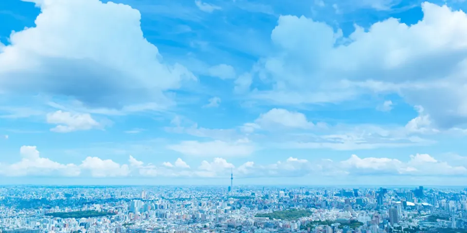 リンク先ページ(「キャリア採用」)のサムネイル画像 