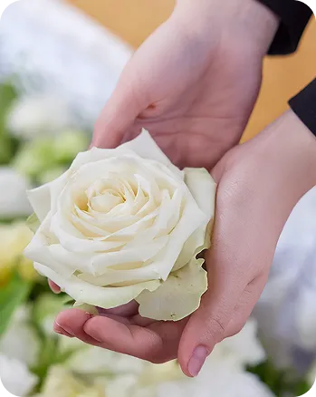 火葬(出棺式)イメージ写真