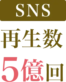 SNS再生数 5億回