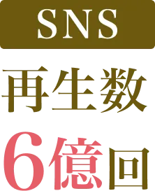 SNS再生数 6億回