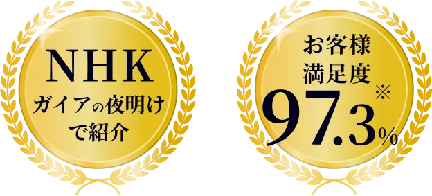 むすびすの実績メダル画像 NHKガイアの夜明けで紹介 お客様満足度97.3%