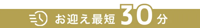 お迎え最短30分