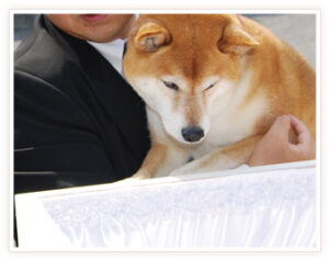 ご葬儀事例 「タロとのお別れ会」