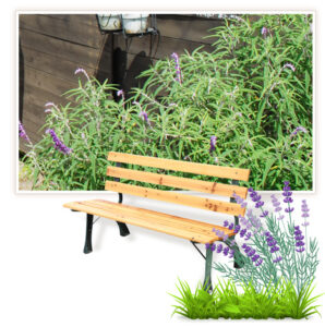 ご葬儀事例 「お父様の好きだったお庭で」