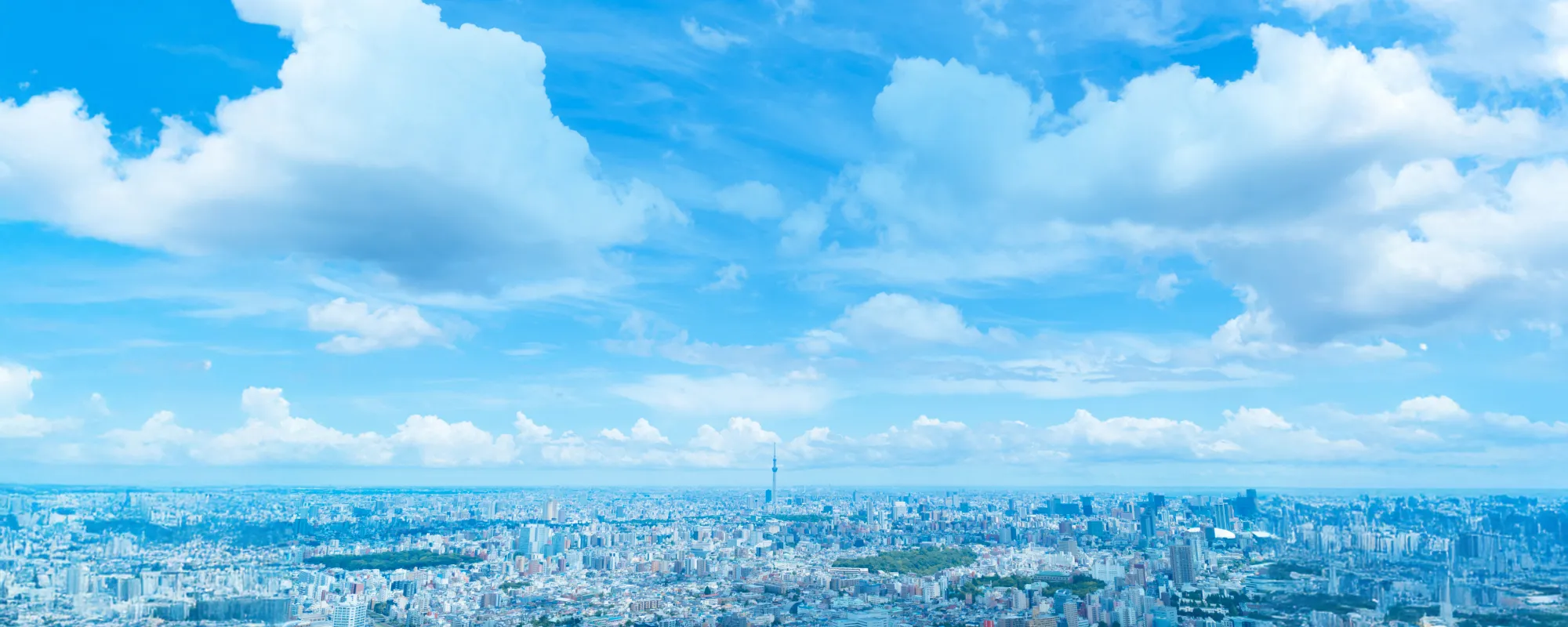 葬祭プランナーの採用