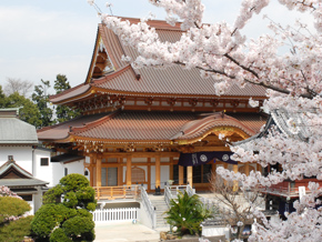大應寺斎場の外観写真