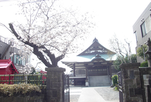 長善寺 笹寺の外観写真